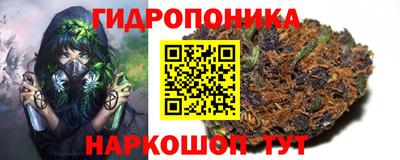 Альфа ПВП Апшеронск