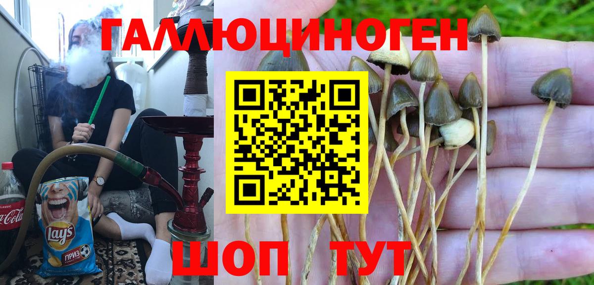 Галлюциногенные грибы ЛСД  Вход с VPN  сколько стоит  Бахчисарай 